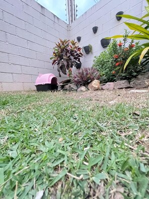 Guests can enjoy a serene garden area with a pet bed, potted plants, and a small rock garden.