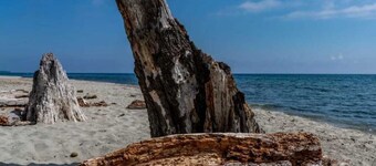 Chalet - Parc aquatique - eeifeg