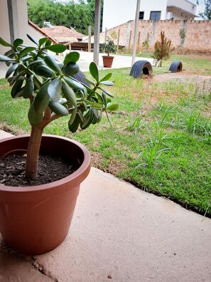 Property grounds - Cafezal Inn - New World Loft (Itanhandu)