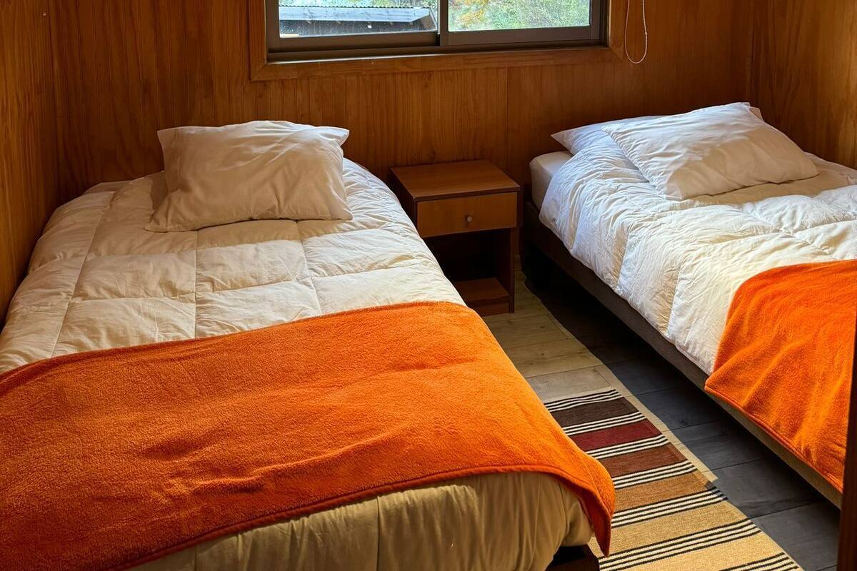 Ein Zimmer mit zwei Betten, einem Fenster mit Blick auf Bäume und einer Deckenleuchte.