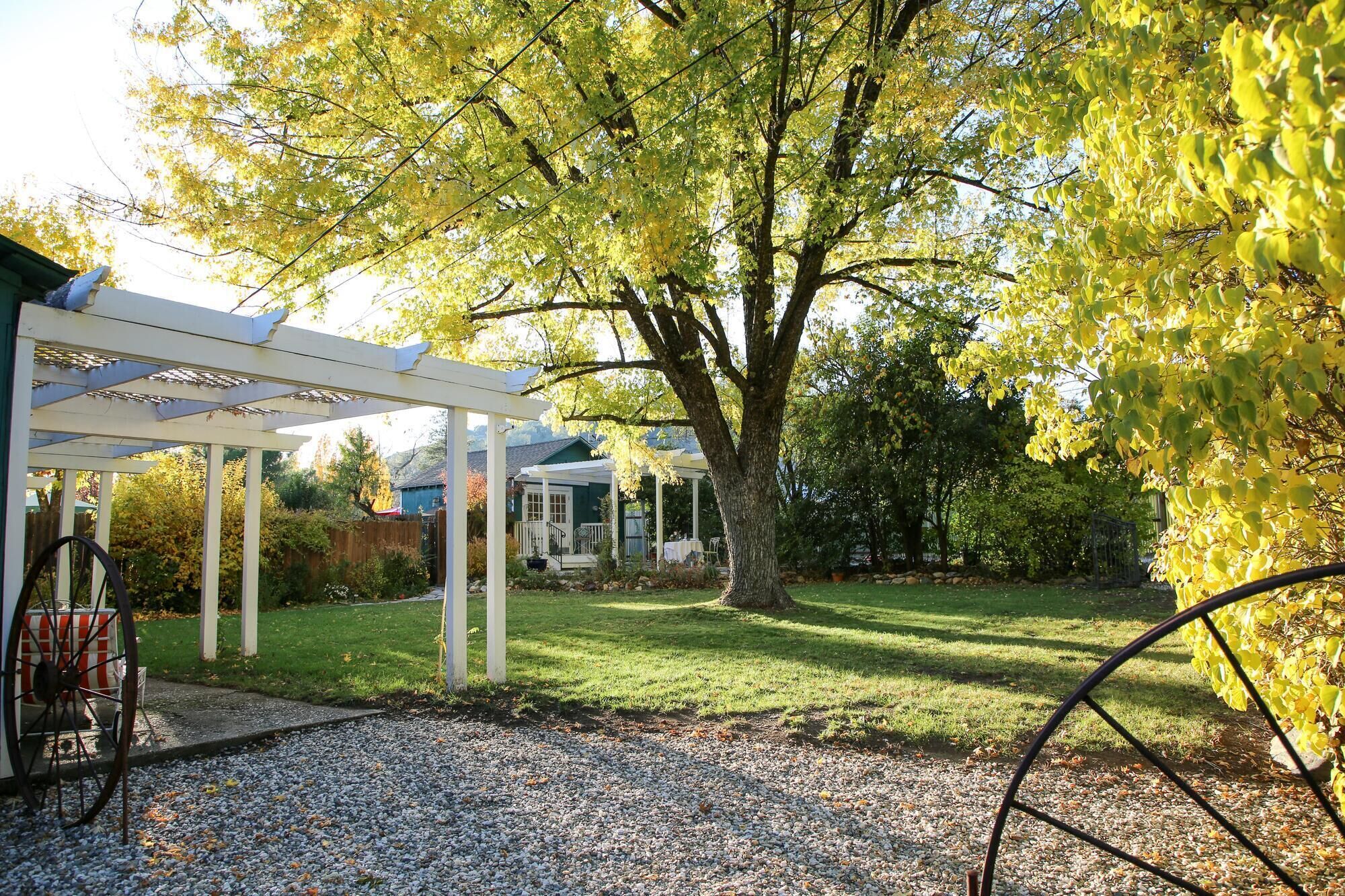Een overdekt terras met een pergola, een grote boom en een grindpad.