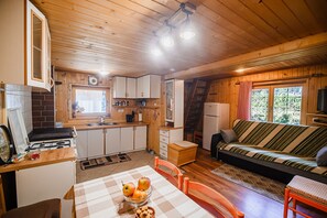 Fridge, oven, stovetop, cookware/dishes/utensils