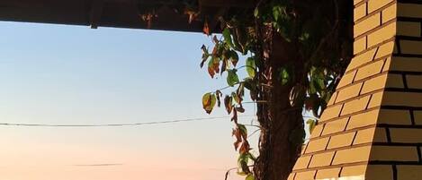 Grill-/Picknickplatz