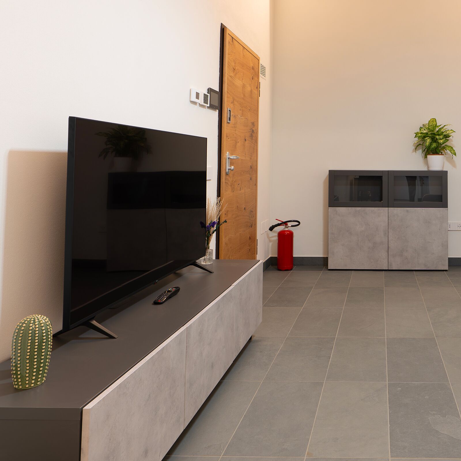 A modern living room with a flat-screen TV on a wooden console, a small cactus, and a potted plant.