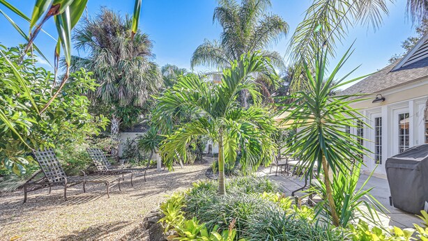 A garden with palm trees, a barbecue area, and a covered seating area. - Walk to Beach! Old Naples Escape w/ Patio & Grill (Naples)