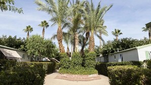 A pathway leading to a row of palm trees, flanked by neatly trimmed hedges and two-story buildings with green shutters. - ZEcamping 3 étoiles pataugeoire 200m plage pet friendly locatif TV (Cambrils)