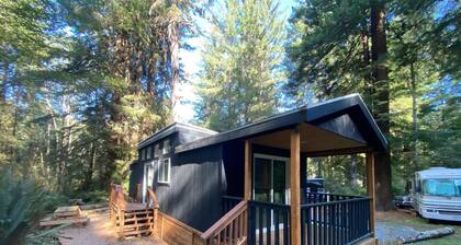The Black Bear Cabin - 2 bedrooms in the redwoods