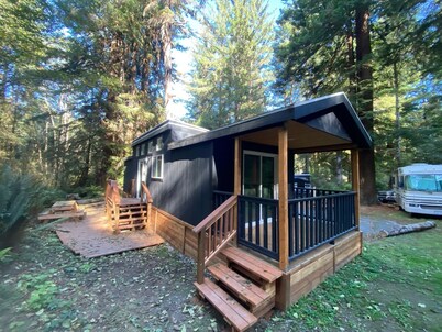 The Black Bear Cabin - 2 bedrooms in the redwoods