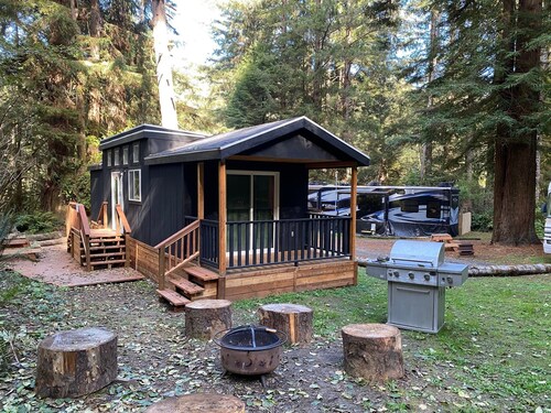 The Black Bear Cabin - 2 bedrooms in the redwoods