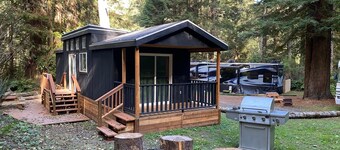 The Black Bear Cabin - 2 bedrooms in the redwoods