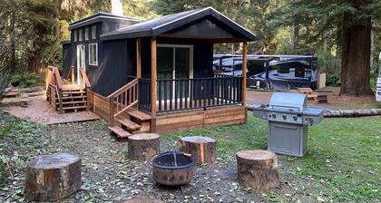 The Black Bear Cabin - 2 bedrooms in the redwoods