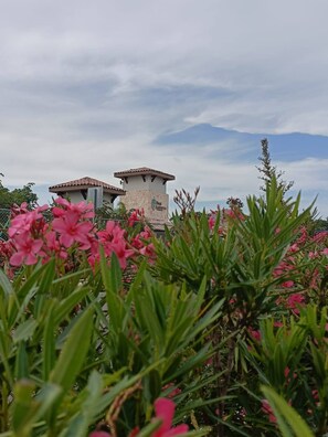 Apartment, 3 Bedrooms, Patio | Exterior detail - Charming Apartment Hoestel Reiden! (Playa del Carmen)