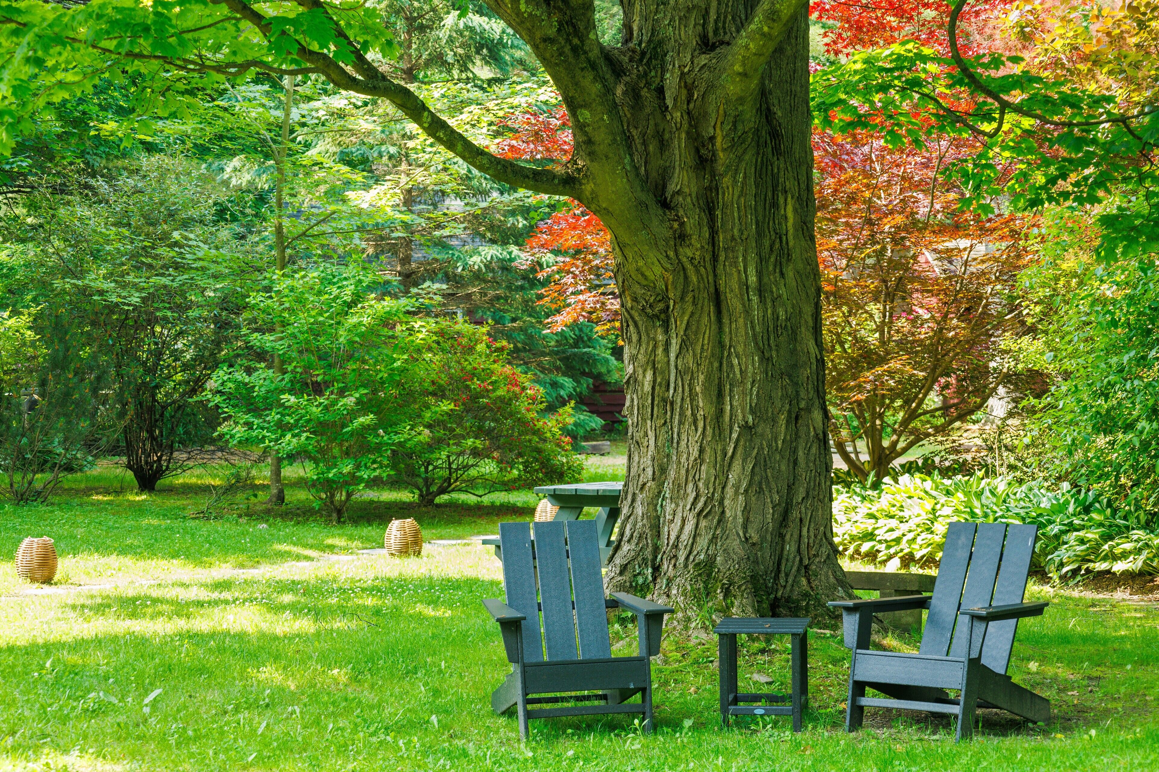 A park with two Adirondack chairs and a picnic table under a large tree.