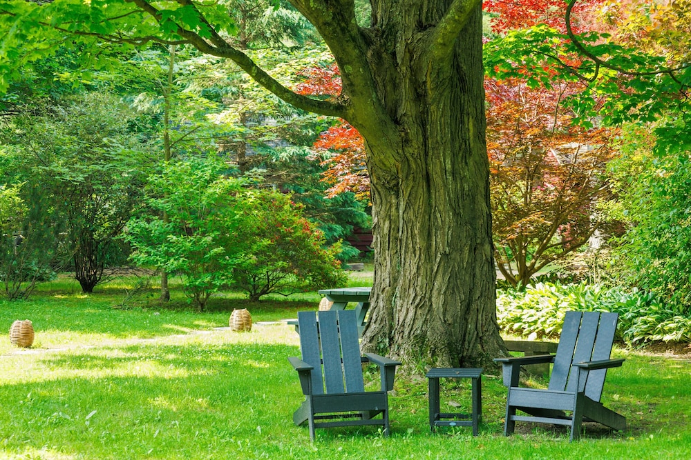 Phoenicia Lodge by null