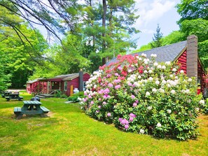 Exterior - Phoenicia Lodge (Phoenicia)