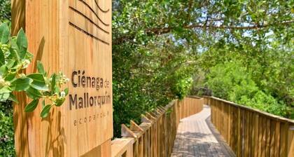 Apartamentos Palmar - by SOHO