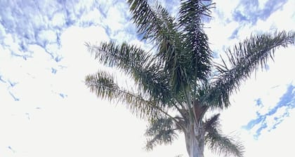 Two Palms Cambridge, peaceful and safe and pet friendly