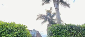 Two Palms Cambridge, peaceful and safe and pet friendly