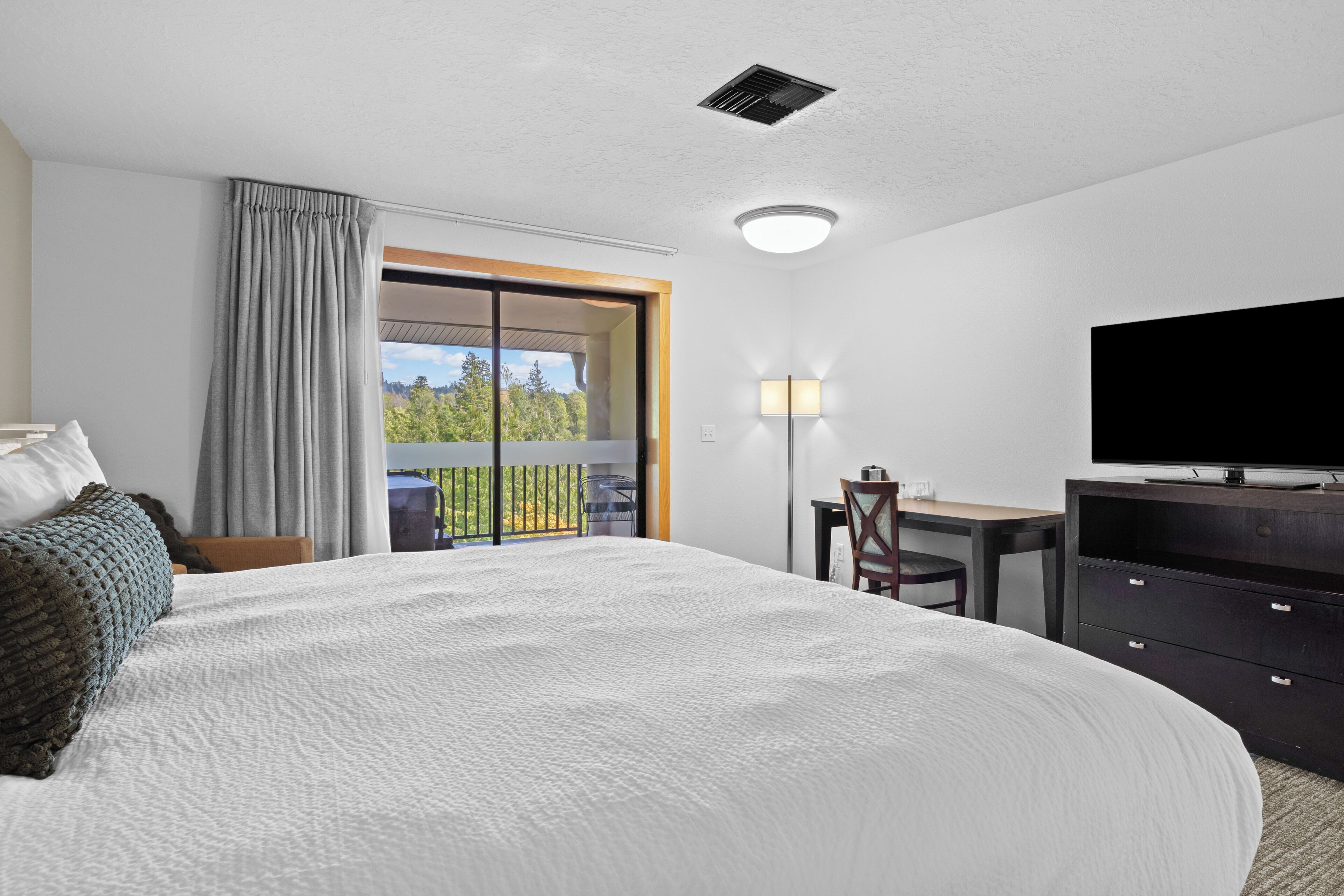 A hotel room with a large bed, a desk, a chair, a television, and a balcony with a view of trees.