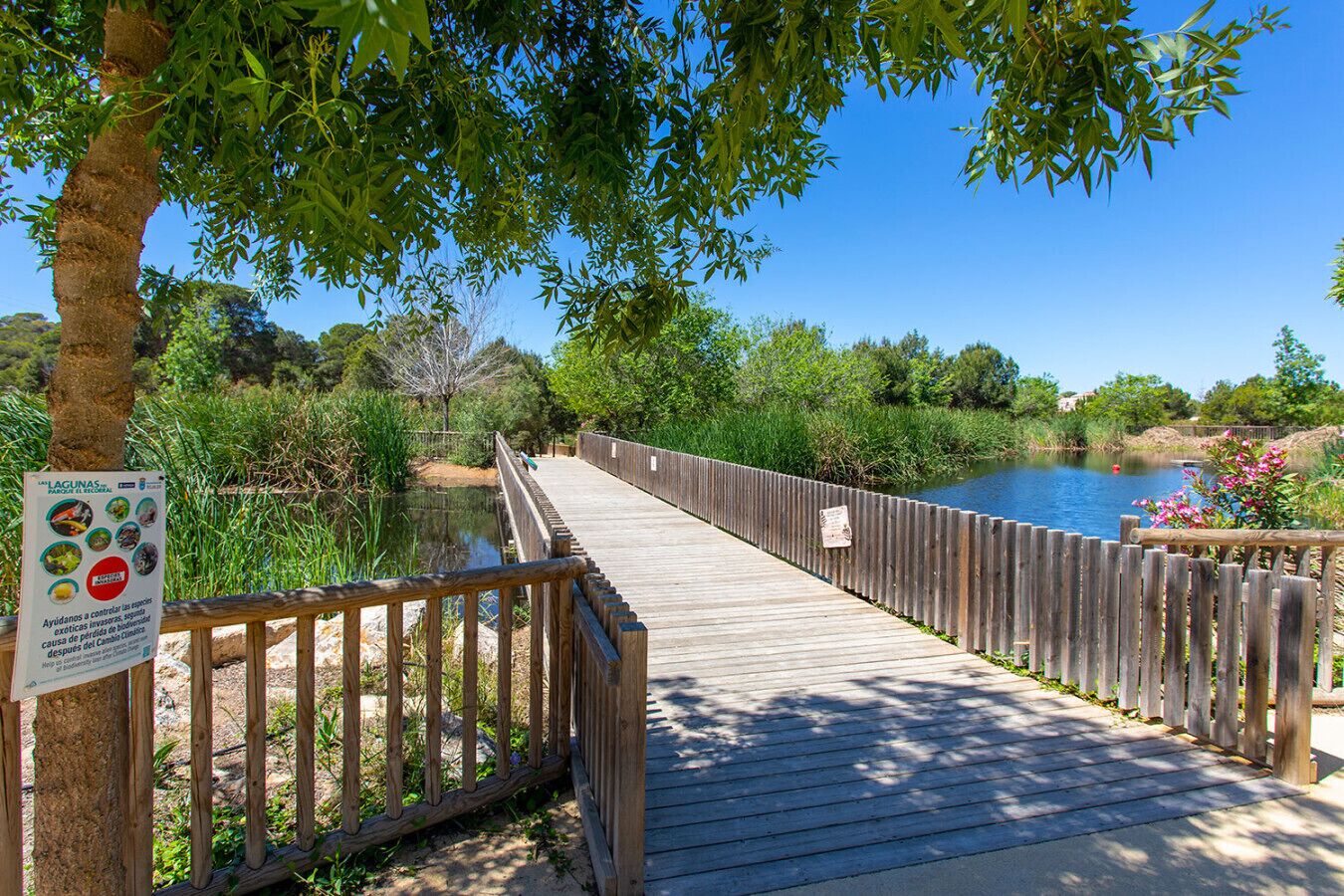 Àrea exterior de l'allotjament