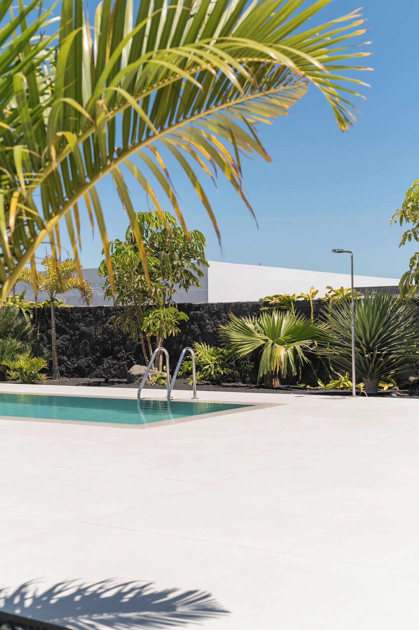 Ein Pool mit Steinmauer und tropischer Bepflanzung.