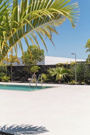 Une piscine avec un mur en pierre et des plantes tropicales.