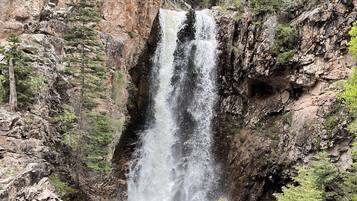 Una cascada se precipita por un acantilado rocoso rodeado de un bosque frondoso.
