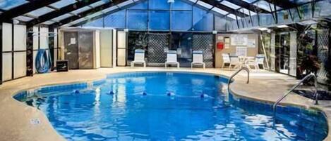 من حمّامات السباحة المغطاة