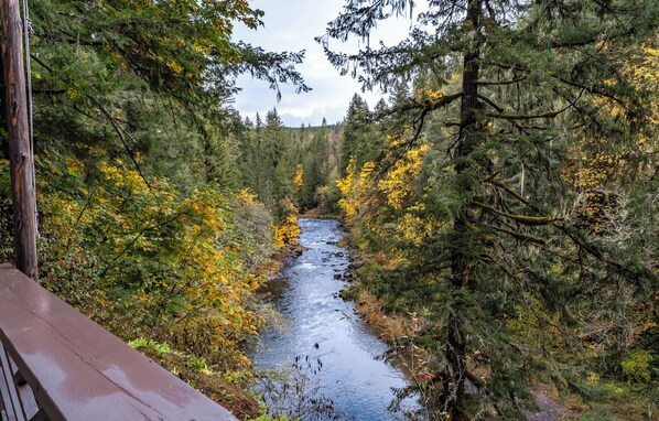 A river flowing through a forest with a wooden deck on the left.
