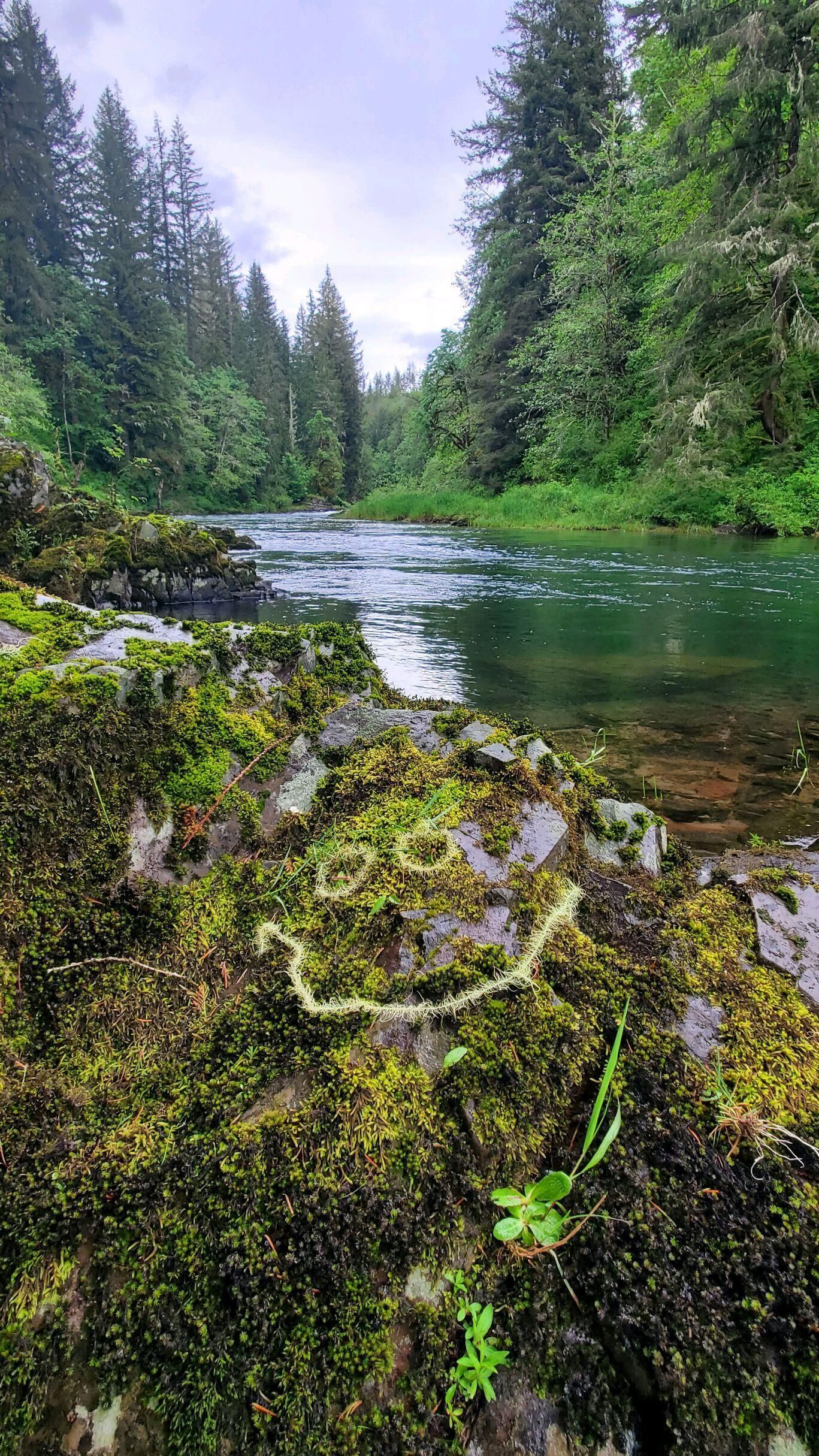 A river surrounded by dense forest and rocky terrain.