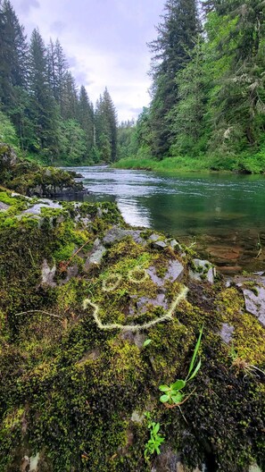 A river surrounded by dense forest and rocky terrain. - Welch Cabin - A License to Chill (Kalama)