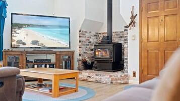 TV, fireplace