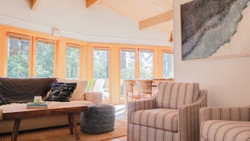 Smart TV, fireplace, books