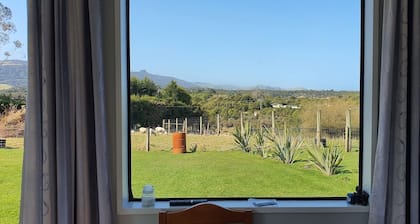 Tram Track Retreat accommodation in Papatowai, The Catlins