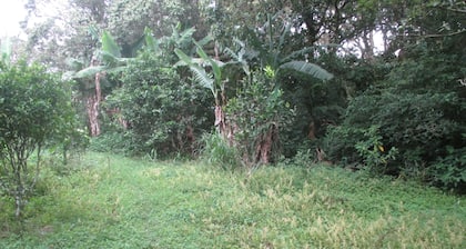 Farm in heredia with tons of forest and great hikes