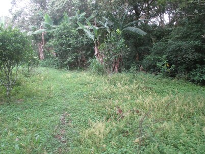 Farm in heredia with tons of forest and great hikes