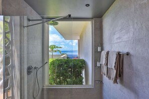 Chuveiro, secador de cabelo, toalhas de banho 