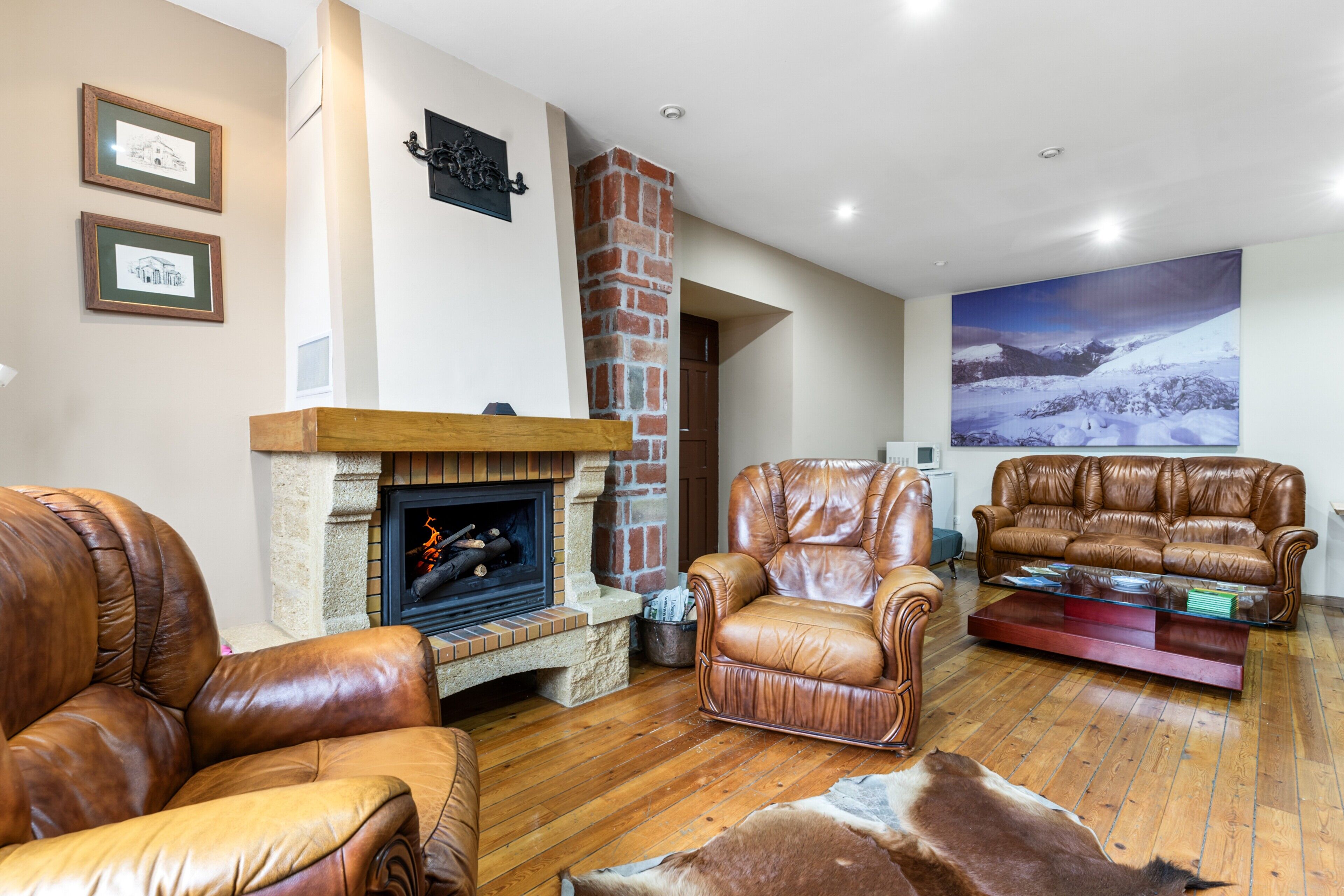 TV, fireplace, DVD player