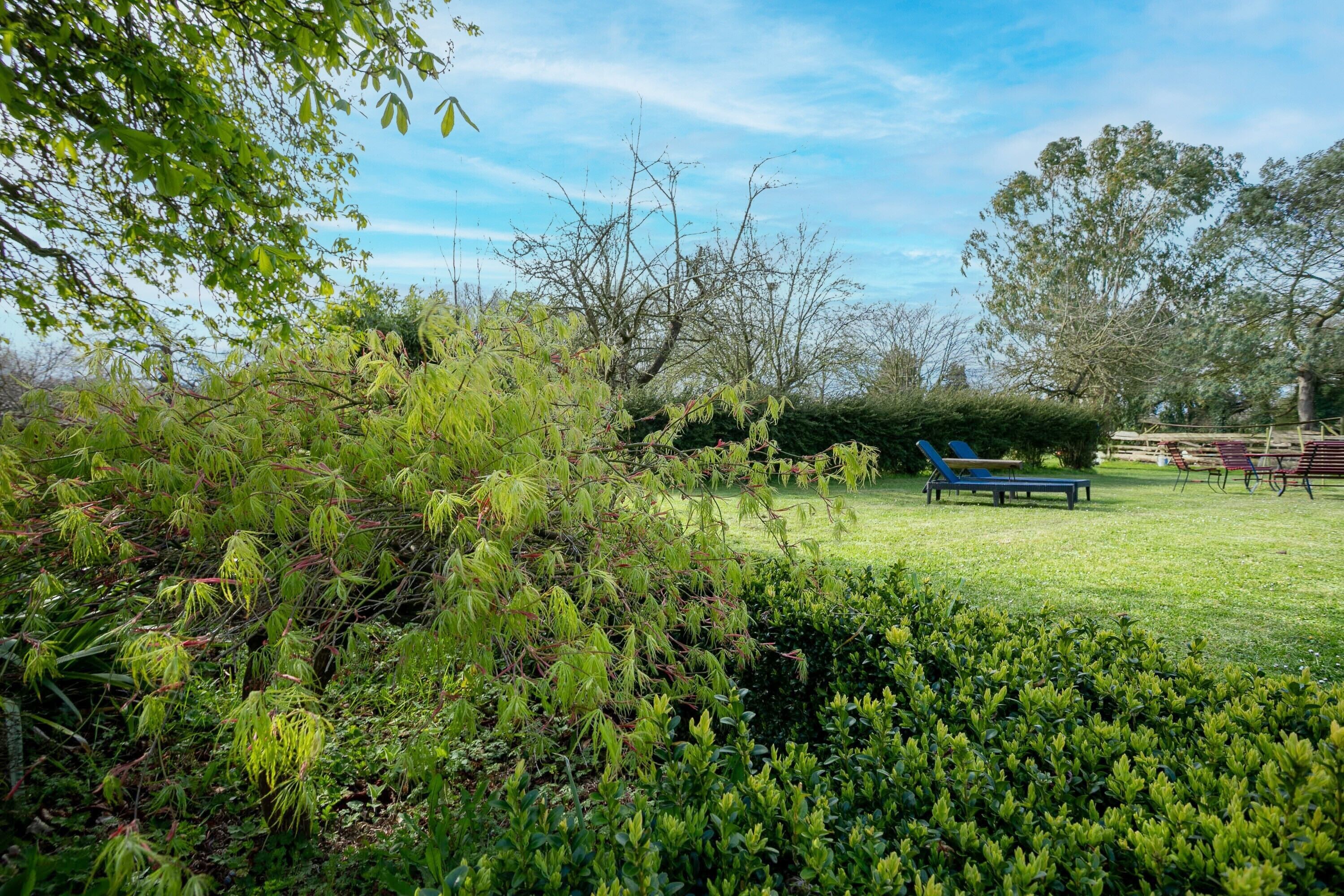 A grassy outdoor area with benches and trees.
