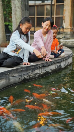 Actividades para menores