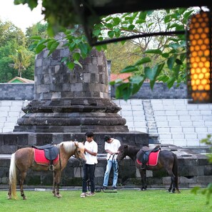 A stone monument with steps, two horses with saddles, and a person interacting with one horse.