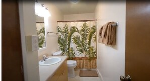 Shower, hair dryer, towels, toilet paper