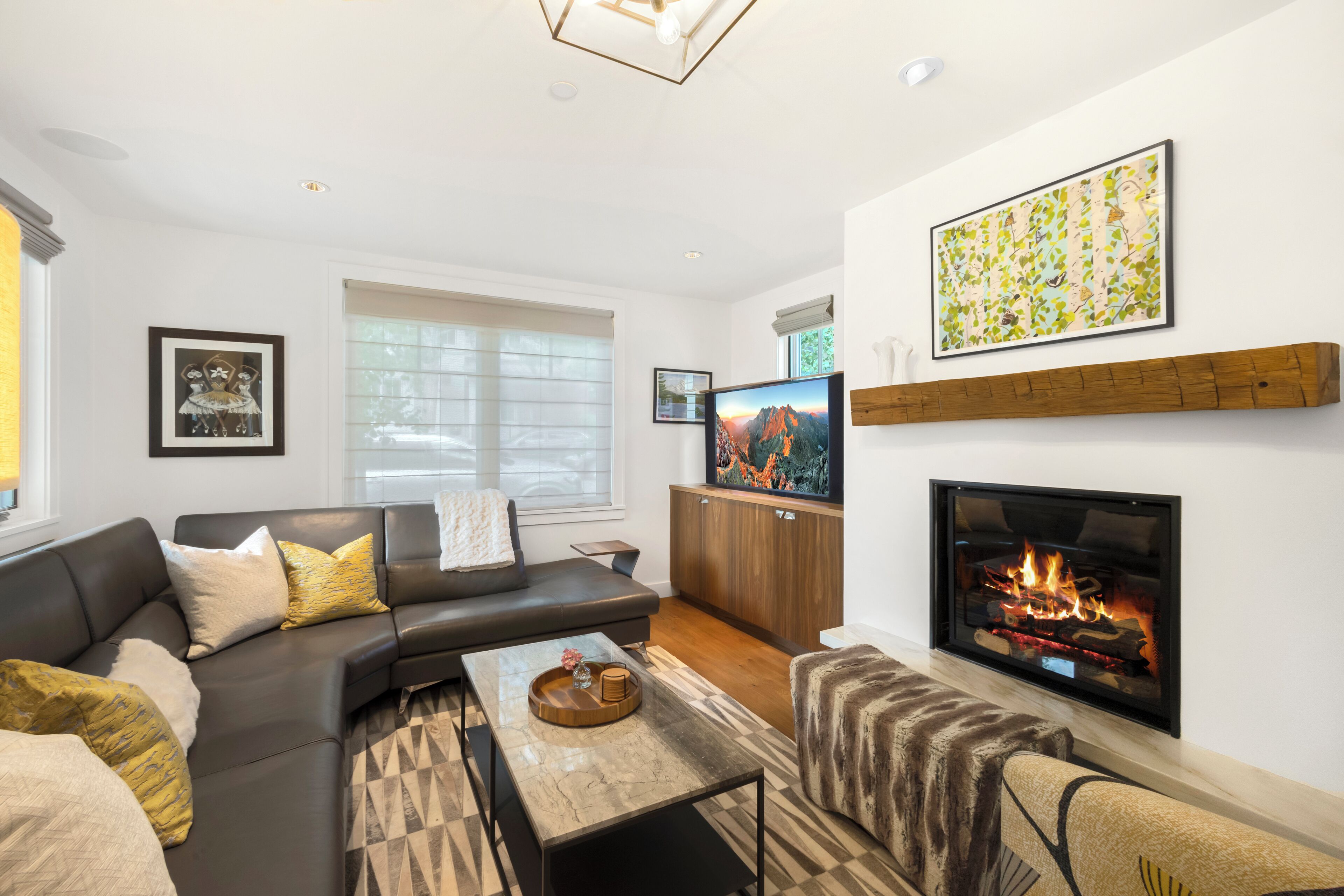 TV connectée, cheminée, livres, médiathèque