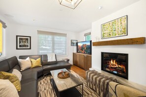 TV connectée, cheminée, livres, médiathèque