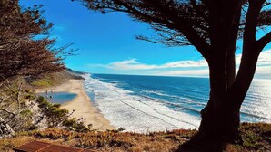 A wooden bench overlooking a beach with waves, a large tree, and a clear sky.