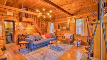 TV, fireplace, books