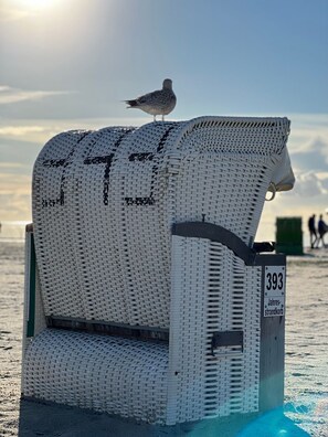 Uklassifisert bilde, 4 av 29, knapp