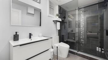 Shower, hair dryer, towels, soap