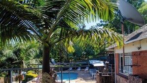 A pool area with lounge chairs, a palm tree, and a building with a satellite dish. - Room 1 of 8 Cozy Suites at The Hilltop Guesthouse (Harare)