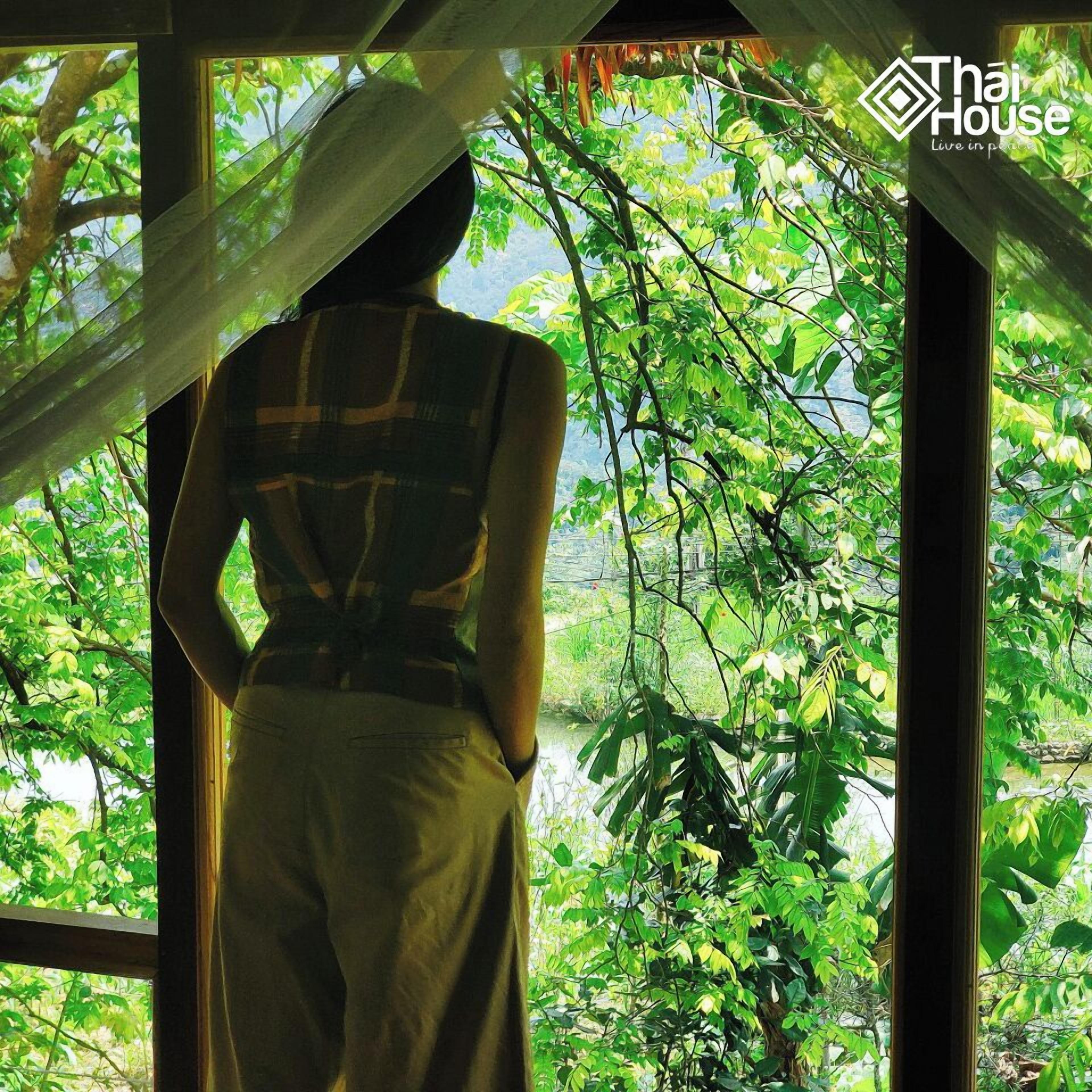 A person standing by a window with a view of greenery.